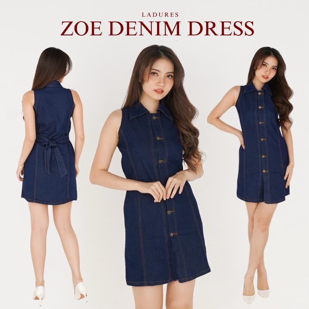 Zoe Denim Dress 1